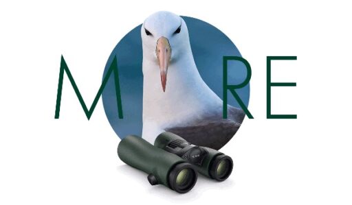 A tester en avant-première chez Optique Piguet: NL Pure 52mm